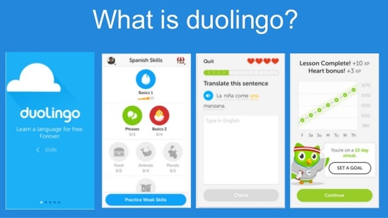 duolingo app download pc